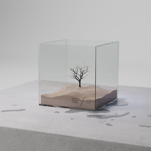 老肥赵邦贺的最新视频
