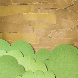 国产露脸贵在真实
