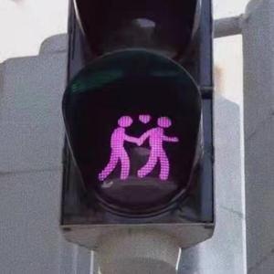 日本祼体拔萝卜视频
