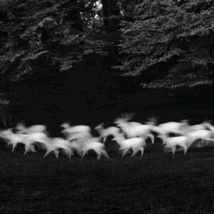 久久精品国产五月天
