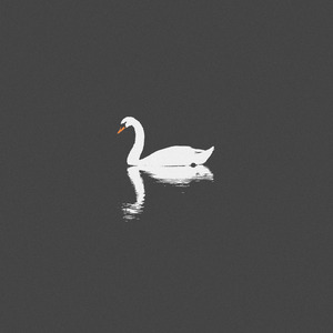 雁门照1400张照片和提取码
