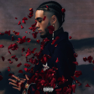 冢本亨利农村剧
