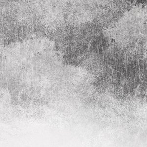 捷克天体主义AⅤ
