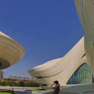 十大污污软件下载
