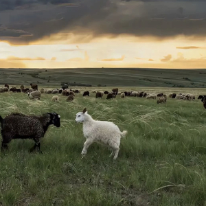 嗯～啊别揉我奶头㊙️视频
