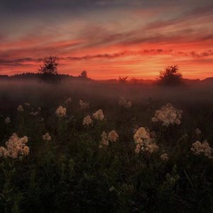 大鸡巴乱伦过吗
