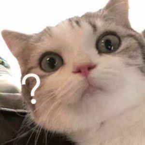 午夜视频在线观看www在线
