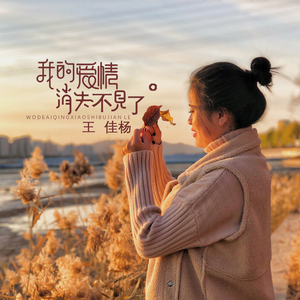 性饥渴老太满足了我
