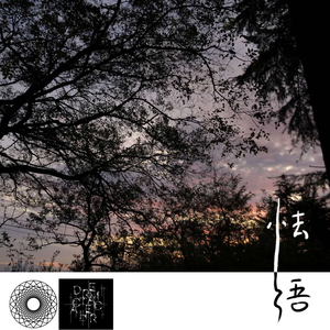 西村妮娜最经典十部电影有哪些
