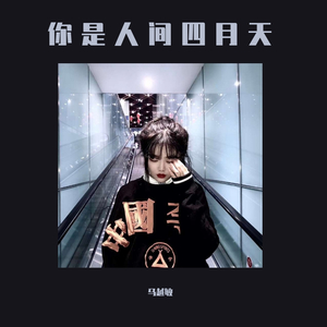 污污视频在线下载网页
