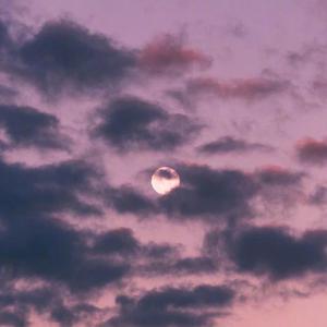 小日本男女操逼
