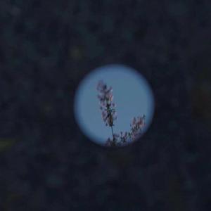 成人毛片直播污
