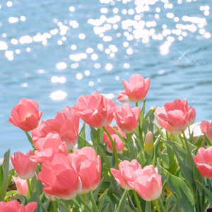 色情片脱光衣服的少妇
