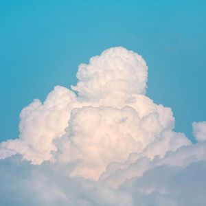 又大又粗又硬又黑又黄毛片
