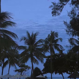 冢本亨利农村剧
