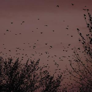 美女露出奶头❌跳舞视频
