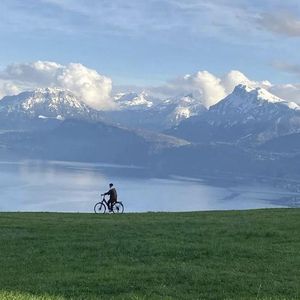 免费观看已满十八岁电视剧直播抖音
