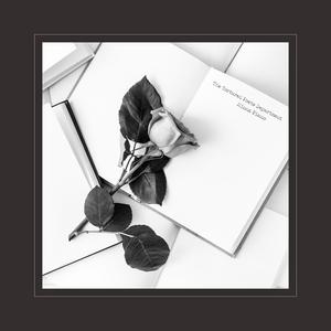 西村妮娜最经典十部电影有哪些
