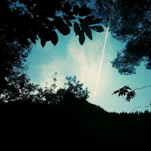 丹麦性八欲DVD电影
