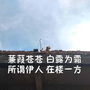 捷克天体主义AⅤ
