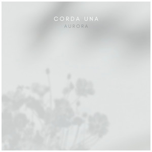 小芳的嫩苞又嫩又紧视频播放
