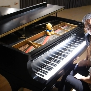 老肥赵邦贺的最新视频
